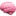NeuroNest